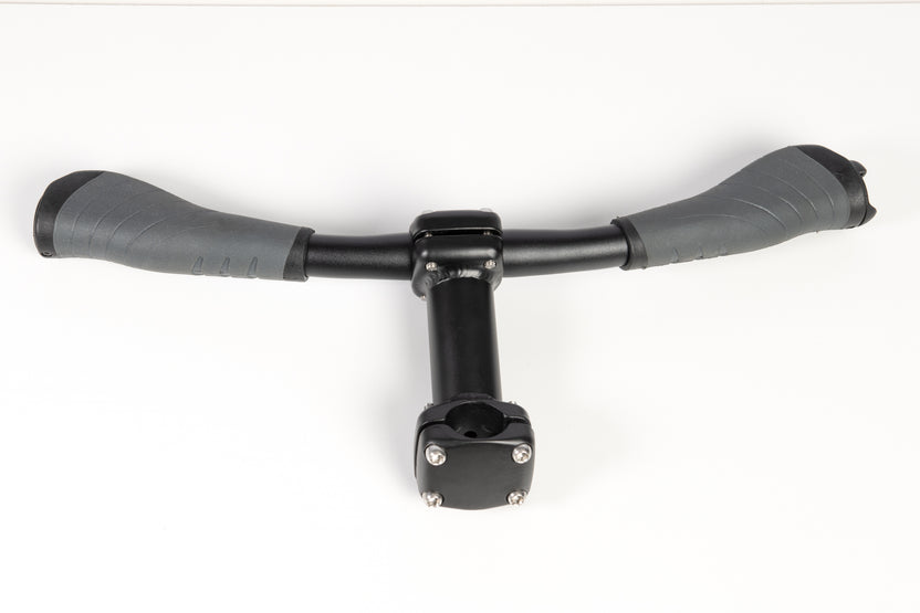 Handle for Rear Passenger